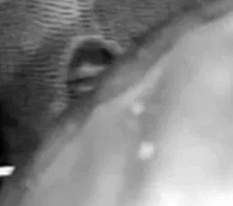 Screenshot 2026-02-10 at 11.03.16 AM.webp