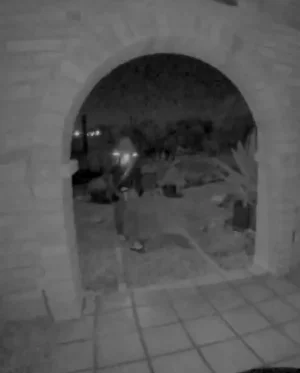 Screenshot 2026-02-10 at 2.12.44 PM.webp