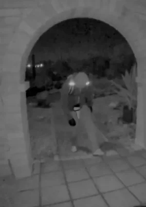 Screenshot 2026-02-10 at 2.12.49 PM.webp