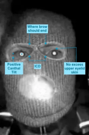 Screenshot 2026-02-17 at 9.49.19 PM.webp