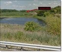 Marsh 59.jpg