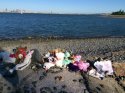 deerisland.jpg