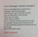 Seenager for Facebook.jpg