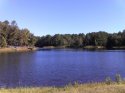 IMG_20130922_100545.jpg