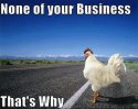 ChickenCross the Road.jpg
