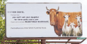 kim_davis_billboard.PNG