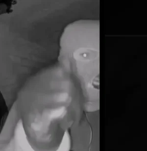 Screenshot 2026-02-25 at 12.06.15 PM.webp