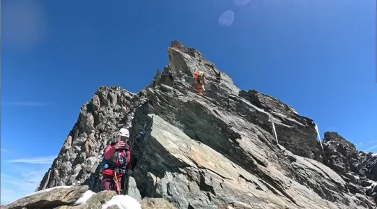 1772072562549.webp 1772072562549.webp