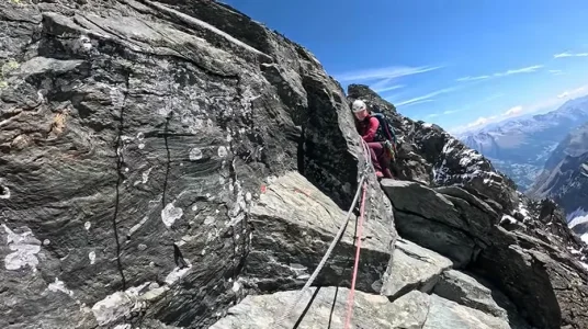 1772072874828.webp 1772072874828.webp