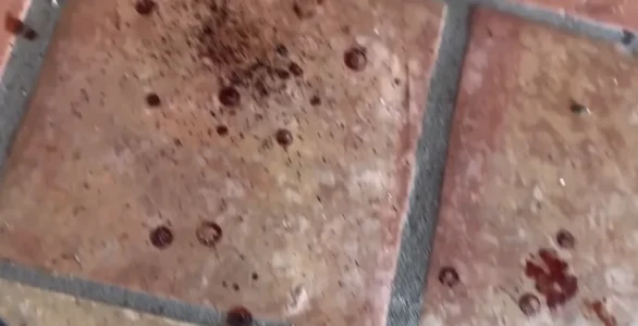 Screenshot 2026-02-27 at 14.19.45.webp