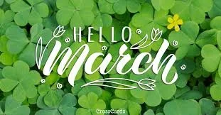 1772296278743.webp 1772296278743.webp