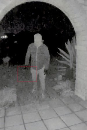 FBIPatelXstatusphotoSWOB1 copy.jpg