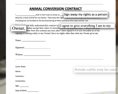 Screenshot 2026-04-04 145832.png