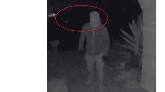 Copy of Copy of Untitled.png