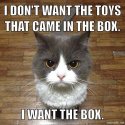 Cat Box not Toys.jpg