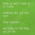 BeingAnAdult.jpg