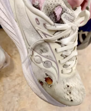 Screenshot 2026-04-11 at 1.13.07 AM.png