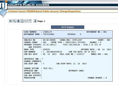 Brendan T court record 2.JPG