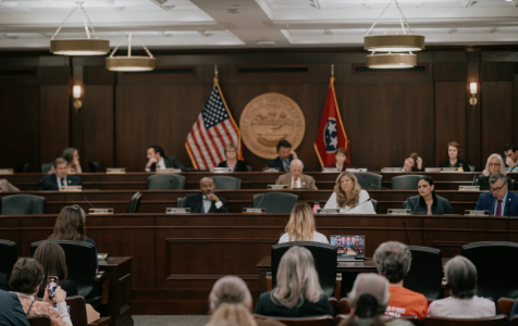 040126.CaseyRobinson.testifies.before the TN House Judiciary Commitee .png