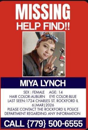 miya missingi poster with auburn hair.jpg