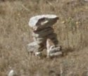 cairn2014-duck.jpg