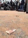 Sawdust on street.jpg