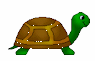 turtle-clip-art-42822.gif