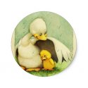 images.duckduckgo.com(7).jpeg