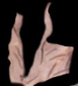 Squeeze Play Jane (UP12376) Bra 2.jpg