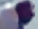 X2.png