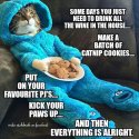 CatPajamas.jpg