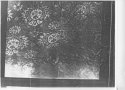 Jane Doe 1970s vintage blanket, quilt or bedspread.jpg