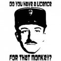 monkey.jpg