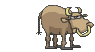 BSbull (1).gif