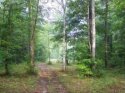 Short Road Pinson, TN.jpg Short Road Pinson, TN.jpg