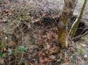635889047924321442-JS-0121-SinkHole-03.jpg
