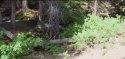 2AA067DA00000578-0-image-a-2_1437147212383.jpg