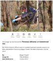mystery wellard photo with westpix date 14 june 2014.PNG