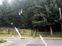 exiting trail.jpg