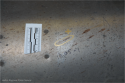 dd07ea71-3908-4e45-8eda-ddb80a688048.png