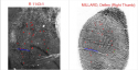 millard-fingerprints.png