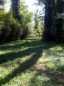 5Path_showing_bridge2.jpg