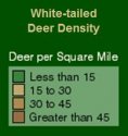 DeerPopulation3.jpg