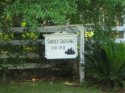 GTOWN_CTY 018 (Medium).JPG
