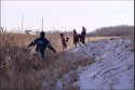 chase martens ditch bulrushes.jpg