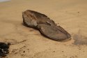 Shoe2.jpg