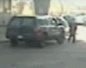ms-g.gif