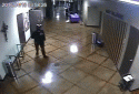1wM78q.gif