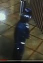 suspect.JPG