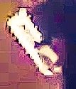 mole wrench filter color.jpeg